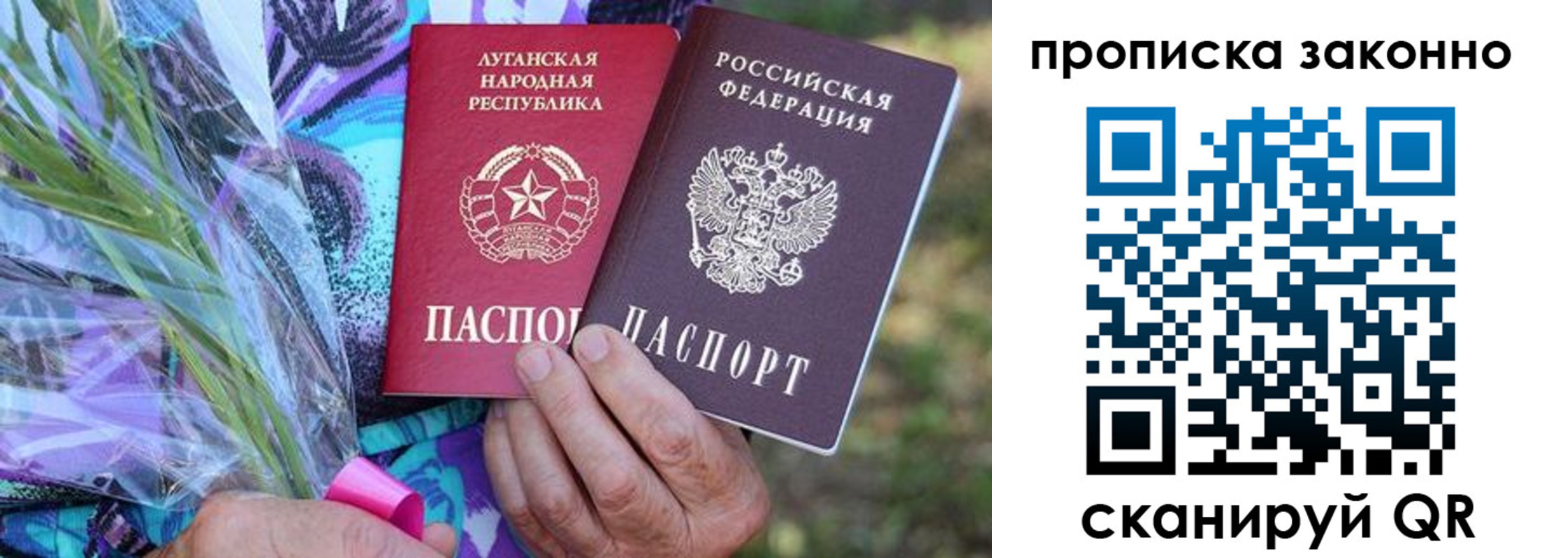 прописка для школы в Ясном